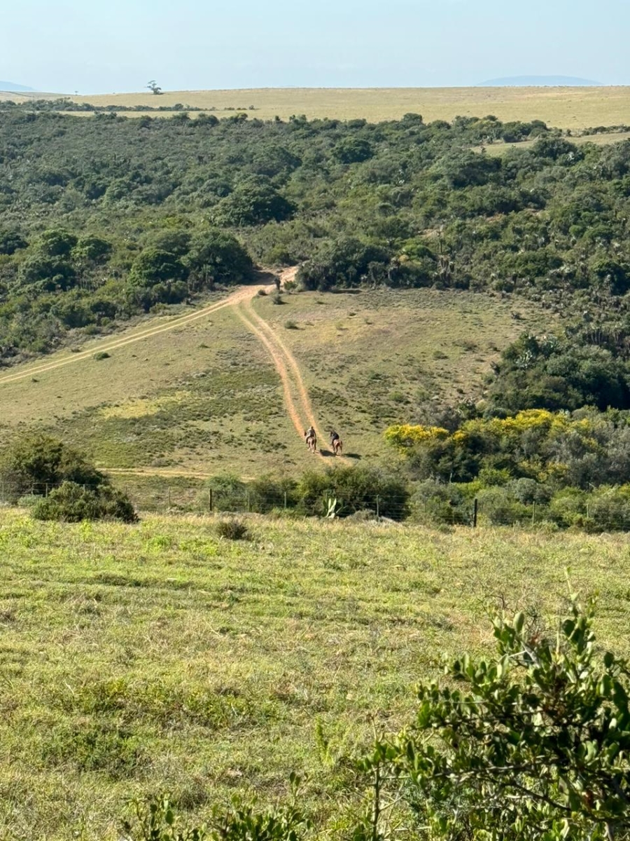 Commercial Property for Sale in Gouritsmond Rural Western Cape